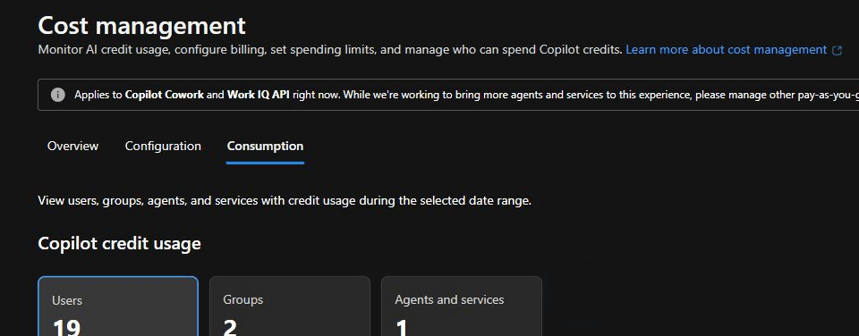Cost Management Consumption page with summary cards for users, groups, and agents and services