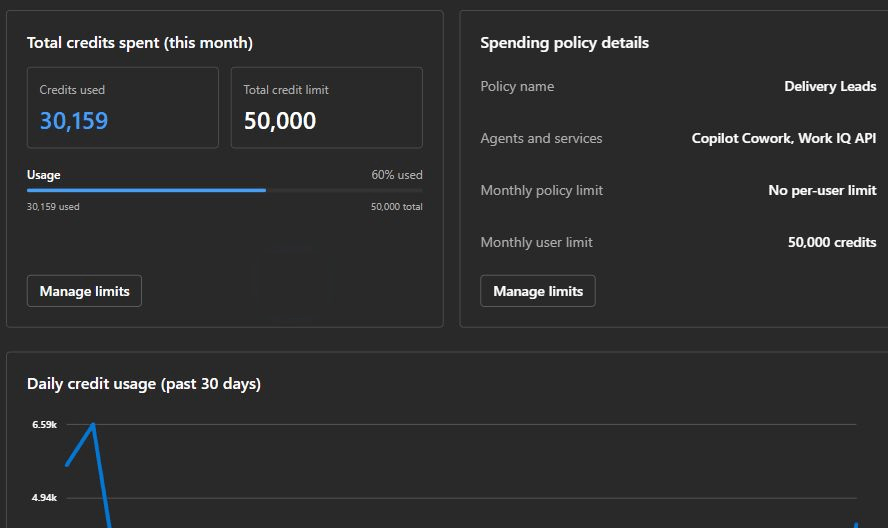 User consumption details with spending policy and monthly limit